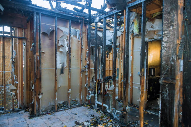 Professional Fire Damage Removal technician working in Mora, MN